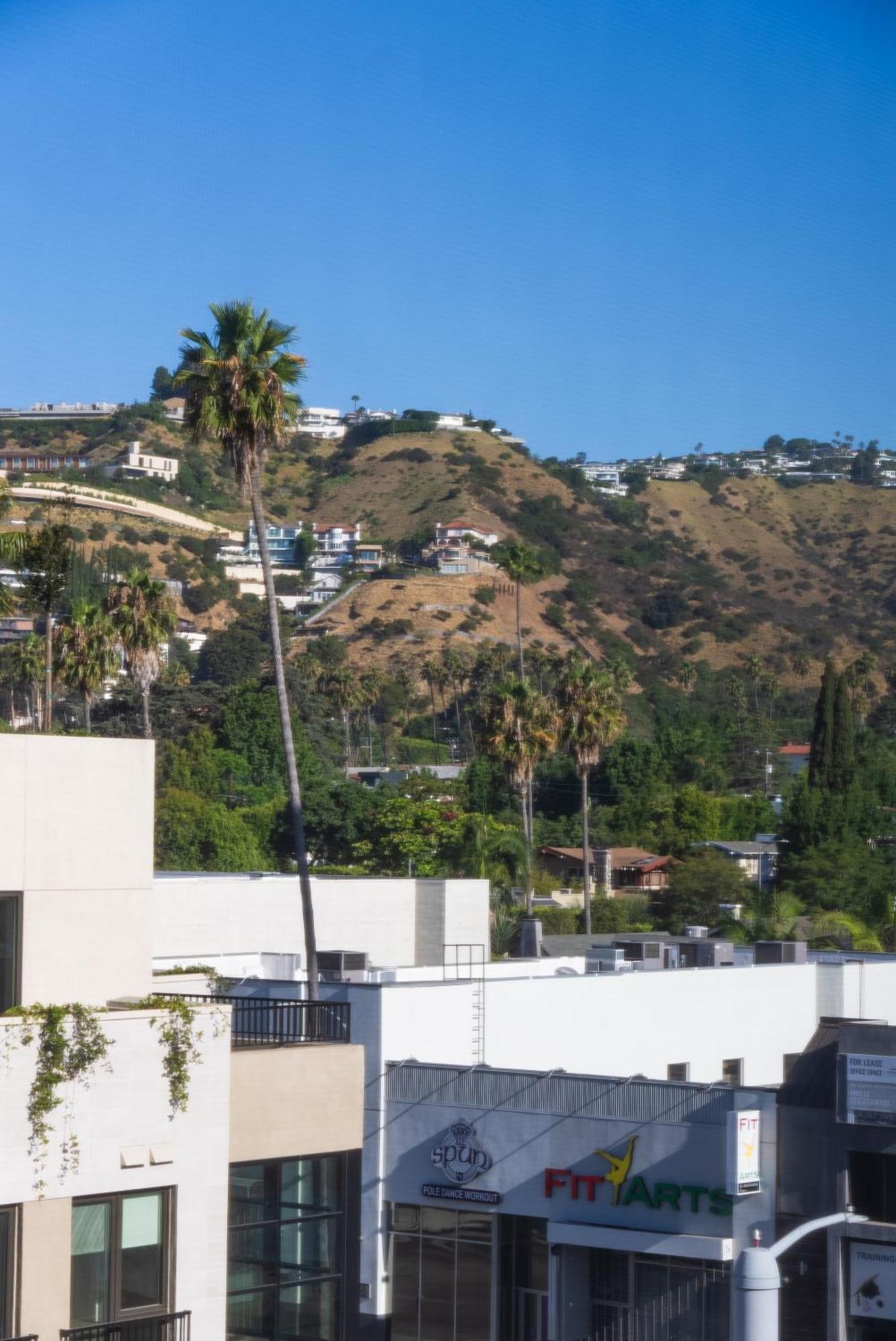 Bright Studio On Sunset Blvd, Free Parking, Gym, And Pool 洛杉矶 外观 照片